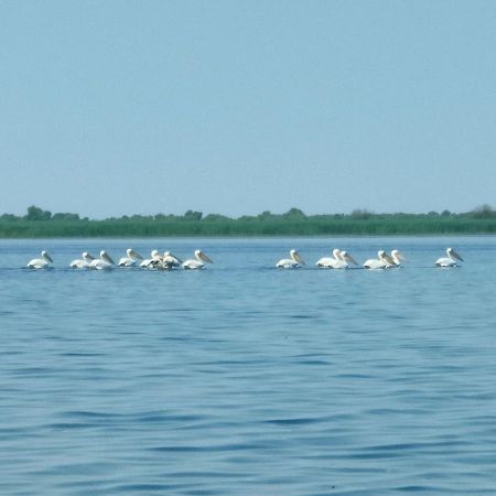 Gorgova Delta Village Екстер'єр фото
